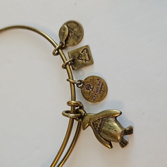 3 ALEX AND ANI Charm Bracelets - Picture 7 of 10